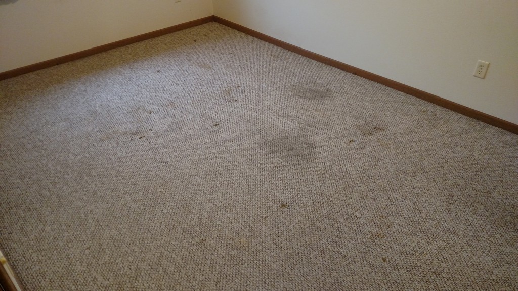 Before picture in carpet cleaning project.