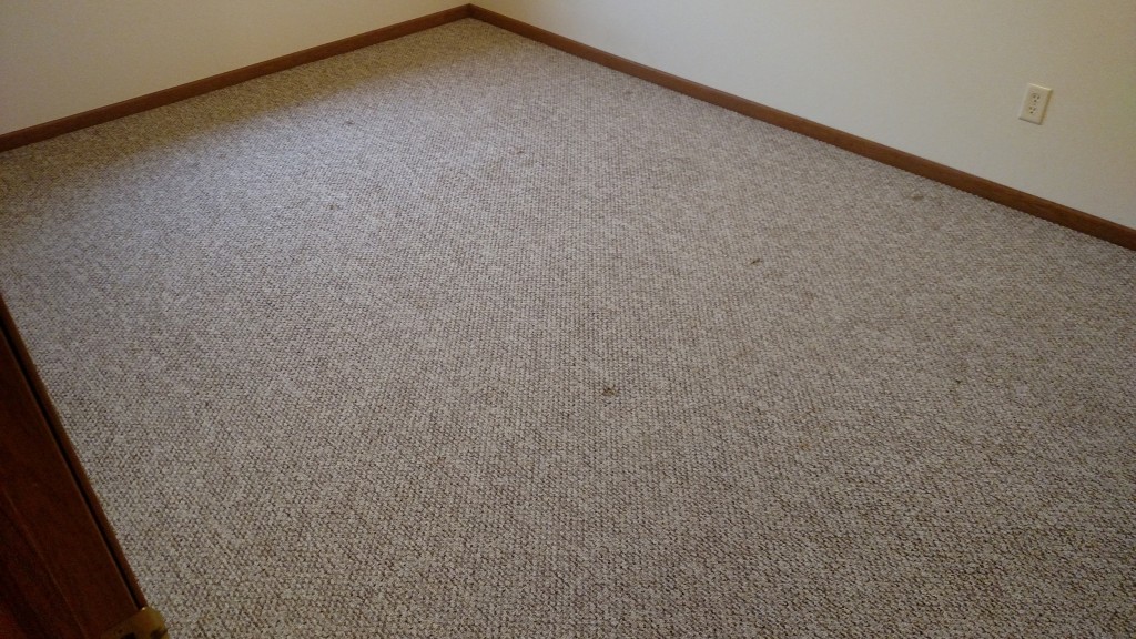 After picture in carpet cleaning project.